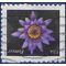 #4966 (49c Forever) Purple Water Lily Booklet Single 2015 Used