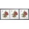 #5201 3c Strawberries Coil Single and Pair 2017 Mint NH
