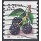 #3304 33c Blackberries PNC Coil Single #B2222 1999 Used
