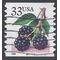 #3304 33c Blackberries PNC Coil Single #B2221 1999 Used