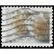 #4520 (44c Forever) Wedding Roses 2011 Used