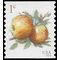 #5037 1c Apples Coil Single 2016 Used