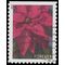 #4816 (46c Forever) Holiday Poinsettia Booklet Single 2013 Used