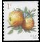 #5037 1c Apples Coil Single 2016 Used