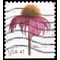 #4184 41c Flowers Coneflower Booklet Single 2007 Used