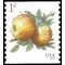 #5037 1c Apples Coil Single 2016 Used