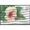 #3313 33c Tropical Flowers Chinese Hibiscus 1999 Used