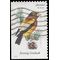 #4887 Songbirds Evening Grosbeak Booklet Single 2014 Used