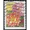 #5045 Botanical Art Dahlias Booklet Single 2016 Used