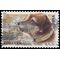 #4547 (44c Forever) Owney the Postal Dog 2011 Used