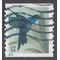 #4858 34c Hummingbird Postcard Rate Coil Single 2014 Used