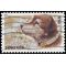 #4547 (44c Forever) Owney the Postal Dog 2011 Used