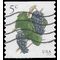 #5038 5c Grapes Coil Single 2016 Used
