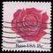 #1876 18c American Flowers Rose 1981 Used