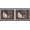 #1487 8c American Arts Willa Cather 1973 Used Attached Pair