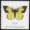 #5346 (70c Forever) California Dogface Butterfly Non-Machinable Surcharge 2019 Mint NH