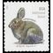 #5544 (Additional Ounce) Brush Rabbit 2021 Mint NH