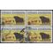 #1504 8c Angus and Longhorn Cattle 1973 Used Block/4