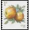 #5037 1c Apples Coil Single 2016 Used