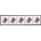 #5201 3c Strawberries Coil Strip of 5 Back# Center Stamp 2017 Mint NH