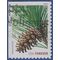 #4478 44c Holiday Evergreens Ponderosa Pine Booklet Single 2010 Used