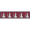 #3759 3c Silver Coffeepot Coil Strip/5 2013 Mint NH #04160 Center