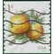 #5037 1c Apples Coil Single 2016 Used