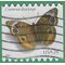 #4002 24c Common Buckeye Butterfly Coil Single 2006 Used