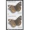 #4002 24c Common Buckeye Butterfly Coil Pair 2006 Mint NH