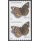 #4002 24c Common Buckeye Butterfly Coil Pair 2006 Mint NH