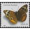 #4000 24c Common Buckeye Butterfly 2006 Mint NH