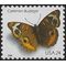 #4000 24c Common Buckeye Butterfly 2006 Mint NH