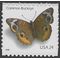 #4001 24c Common Buckeye Butterfly 2006 Mint NH