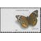 #4001 24c Common Buckeye Butterfly 2006 Mint NH