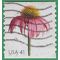 #4184 41c Flowers Coneflower Booklet Single 2007 Used