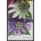 #4753 (46c Forever) 500 year Anniversary La Florida R/L 2013 Used