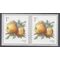 #5037 1c Apples Coil Pair 2016 Mint NH