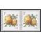 #5037 1c Apples Coil Pair 2016 Mint NH